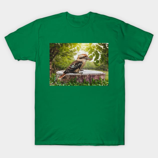 Laughing Blue-Winged Kookaburra Bird Sitting on Tree Stump T-Shirt by Shell Photo & Design